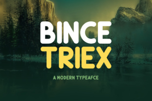 Bince Triex: The Display Font for Bold Campaigns