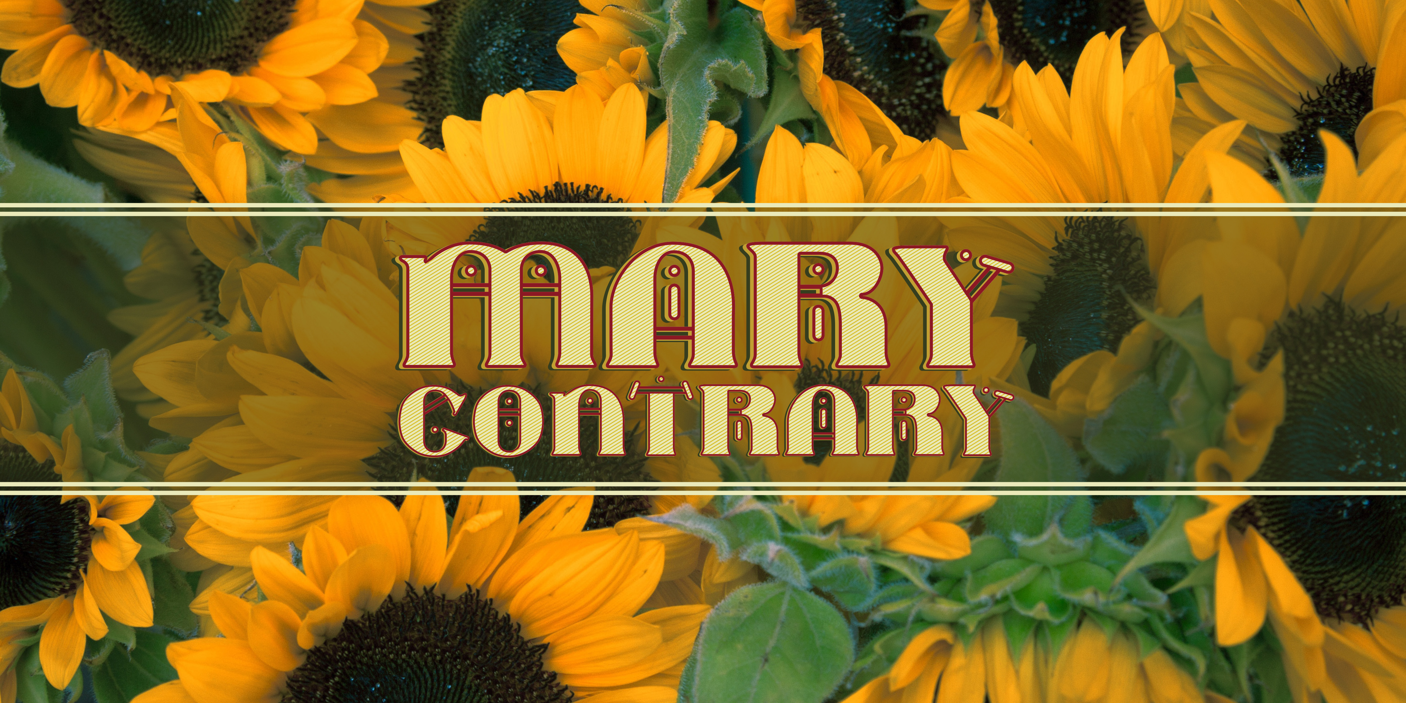 Mary Contrary: A Decorative Display Font for Marketers