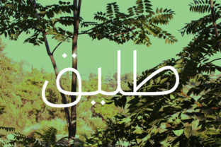 Taleeq - Arabic Typeface for Editorial Design